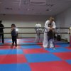 Тхэквондо